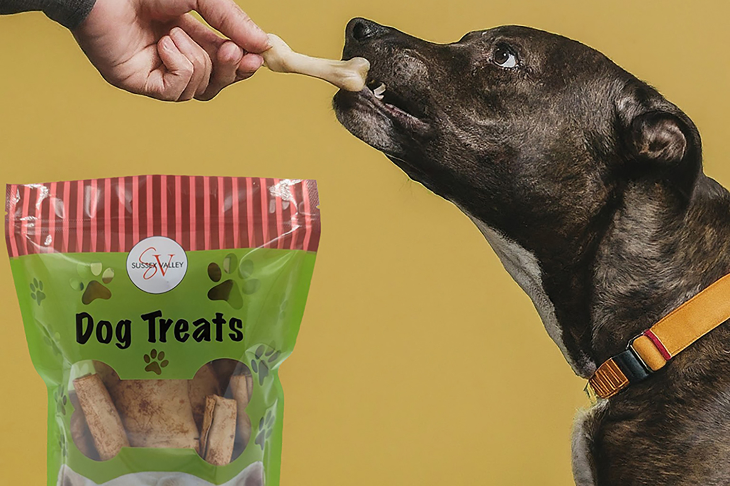 dog treats